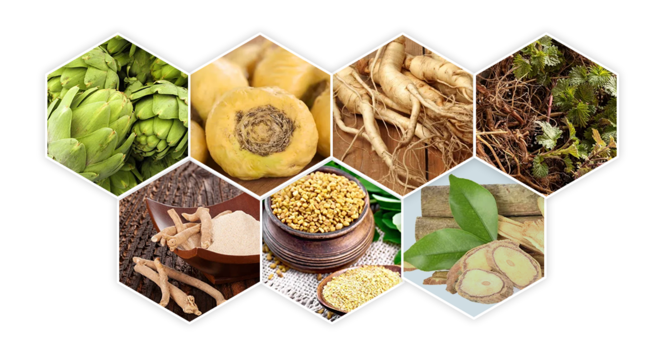 prostavive ingredients